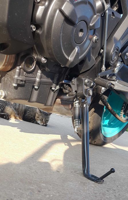 Motocicletă. Nouă