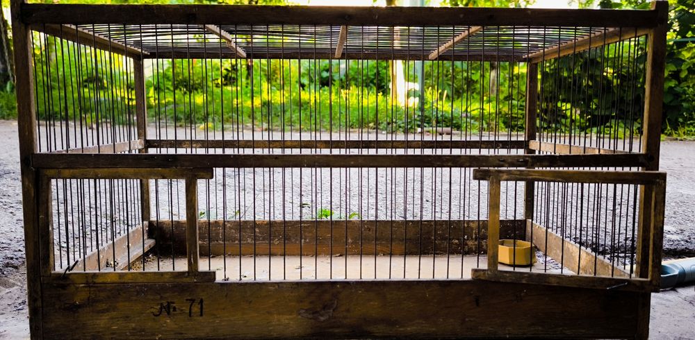 Клетка для канареек