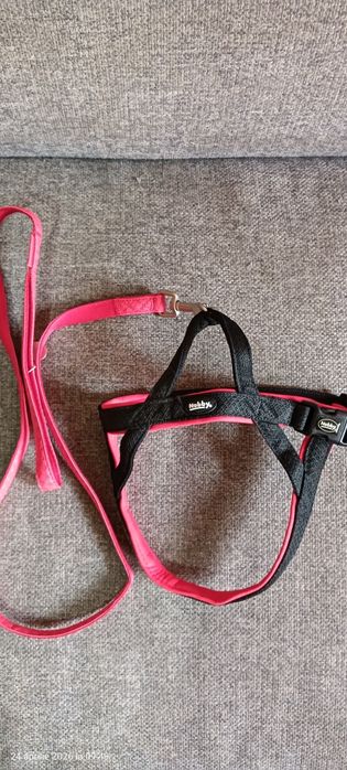 Ham si lesa pentru căței