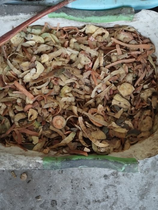 Сотилади сабзи пучоги молга еки бошка хайвонларга( 1 коп булади )