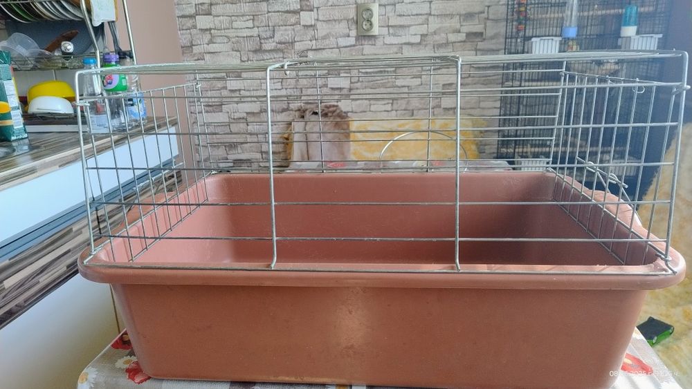 Клетка за зайче,морско свинче