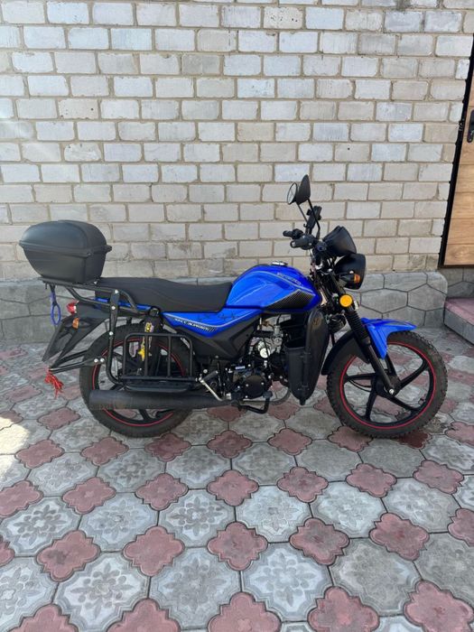 Альфа андес 2024год