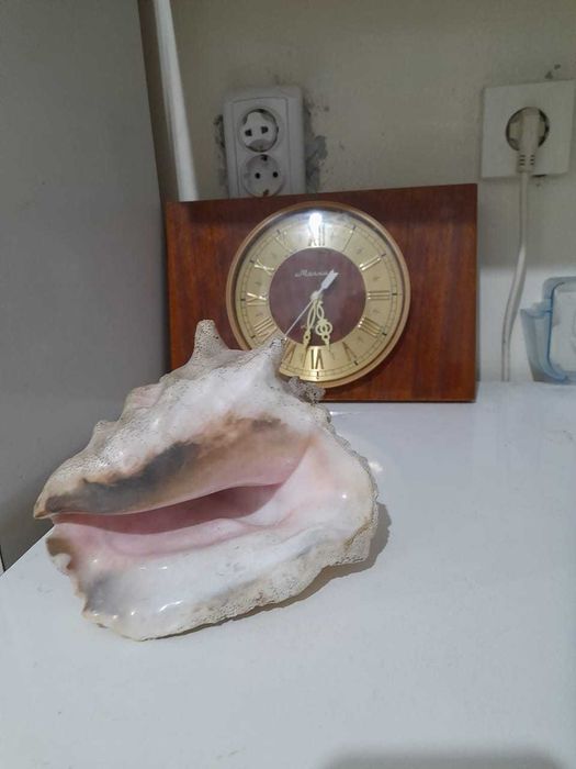 Часы, ракушка и подстаканник