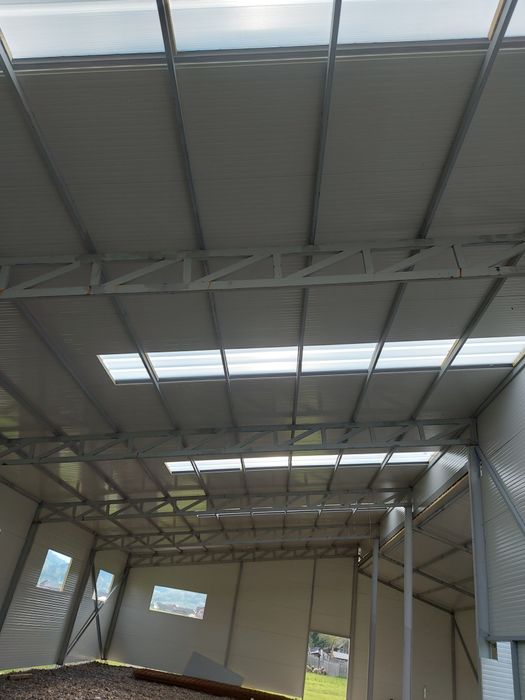 Vand hala metalica completa sau doar structura,