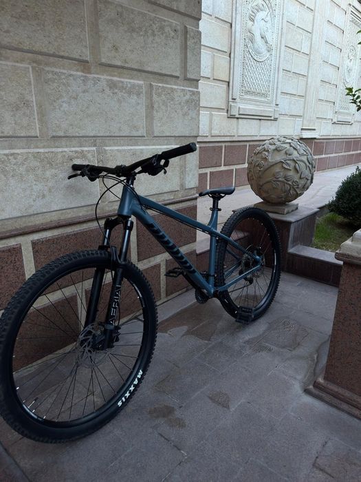 Author Versus 2.0 2024