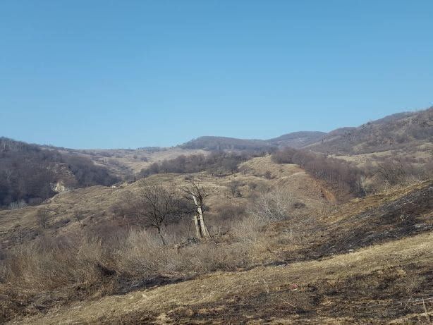 Teren de vînzare. În satul Rușavățul.