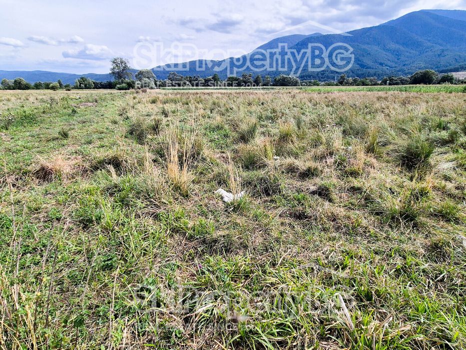 Предлагаме два съседни имота за продажба!