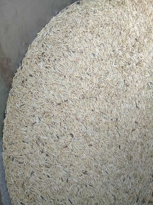 Продам пшеницу, лен, ячмень,овес, комбикорм, сено