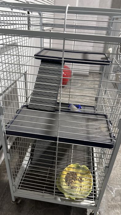 Продаётся клетка для шиншил