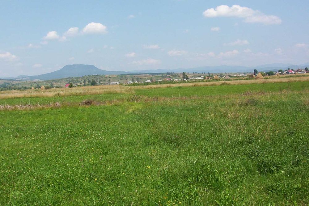 Intravilan locuri de case  Targu-Lapus  str Maramuresului
