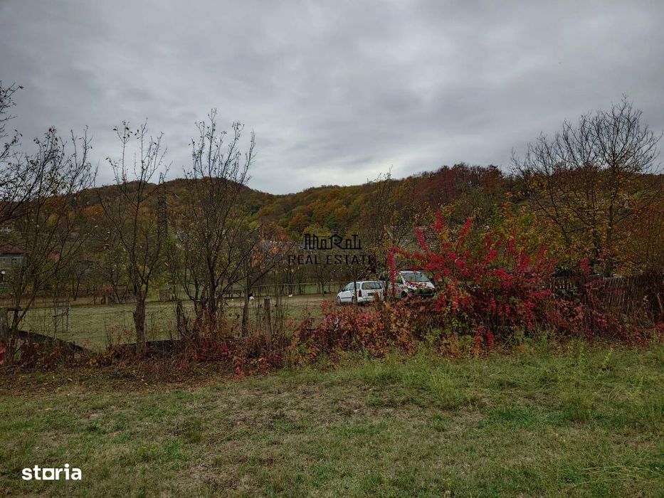 Teren intravilan 2500mp Criscior