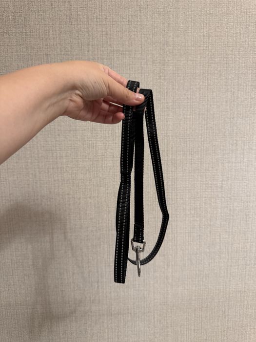 шлейка для кота или маленькой собаки