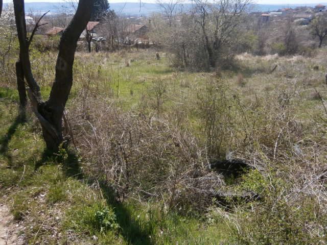 Продава се Парцел в Варна, Базар Левски - 2107 кв.м за 99 €/кв.м - Снимка #5