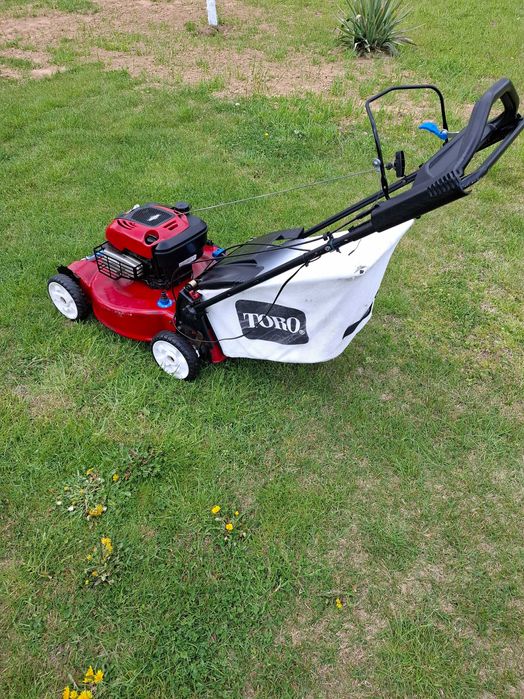 Masina gazon  /  iarba  /  toro