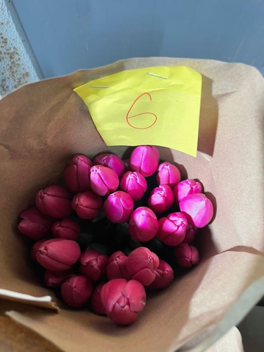 Тюльпаны оптом с теплицы