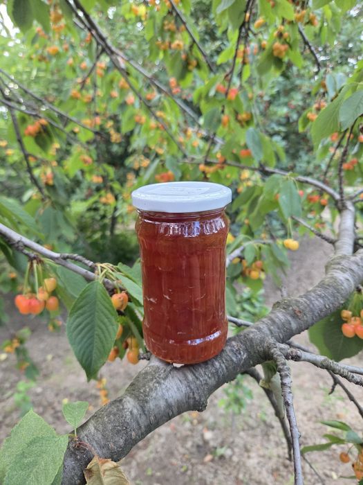 Dulceață/Sirop/Compot