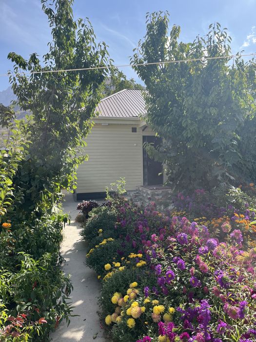 Дом в горах Бостонликского района , кишлак Янгикурган .