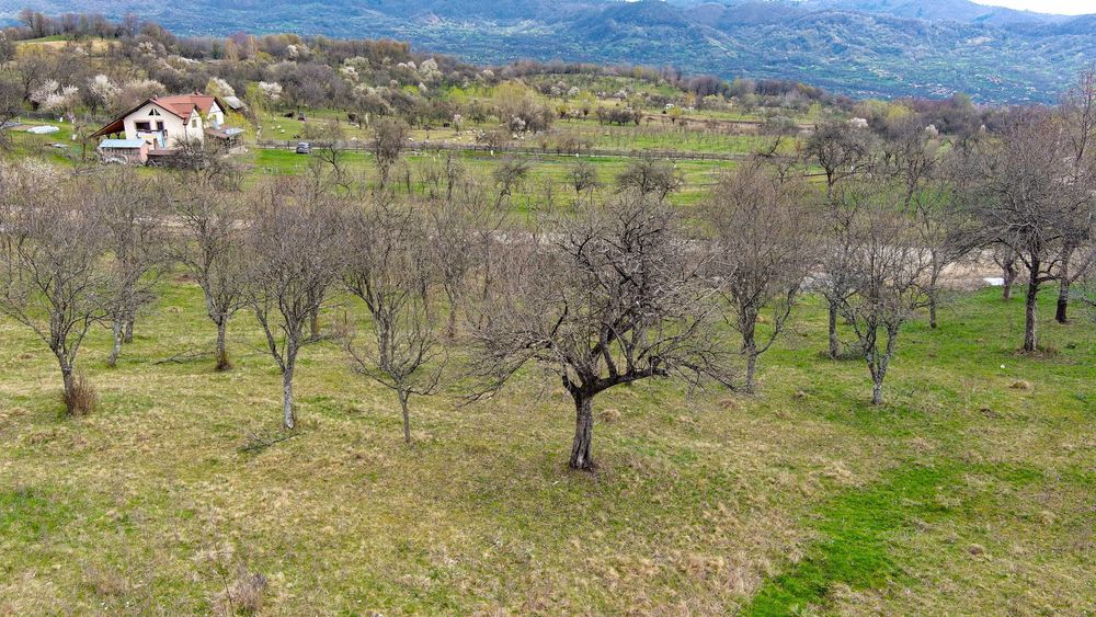 De vânzare: teren  intravilan 1048 mp în Poienari, Corbi, Argeș