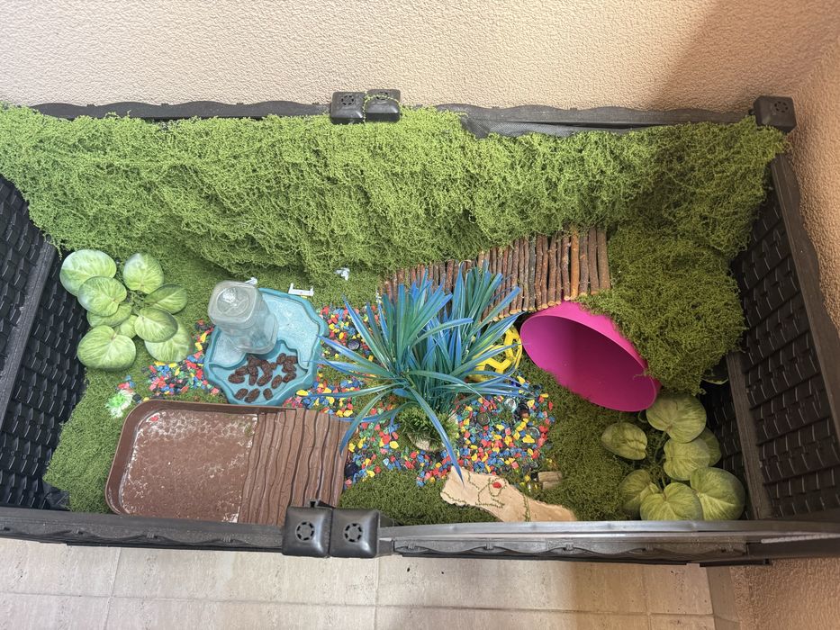 Терариум за животни