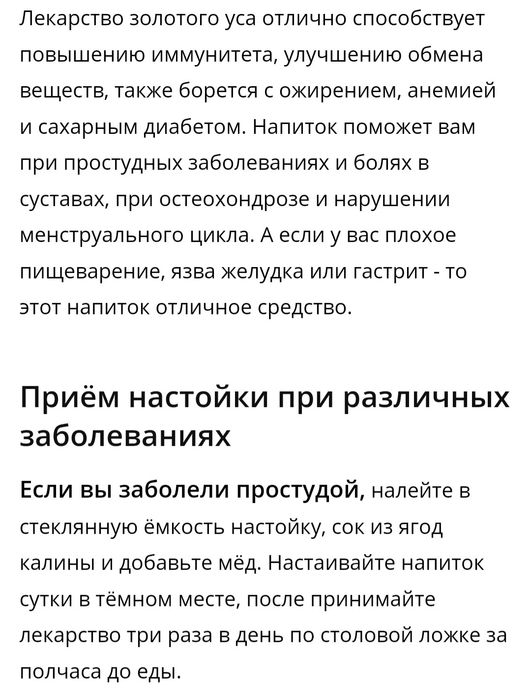 Растение золотой ус