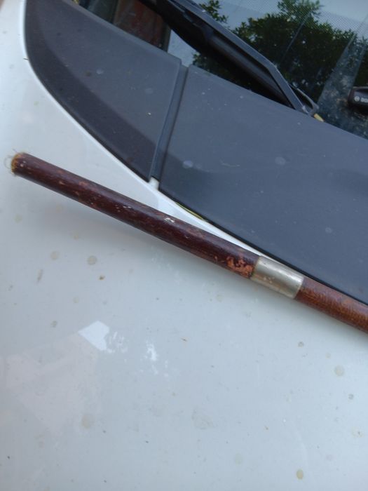 Камшик от колесница.