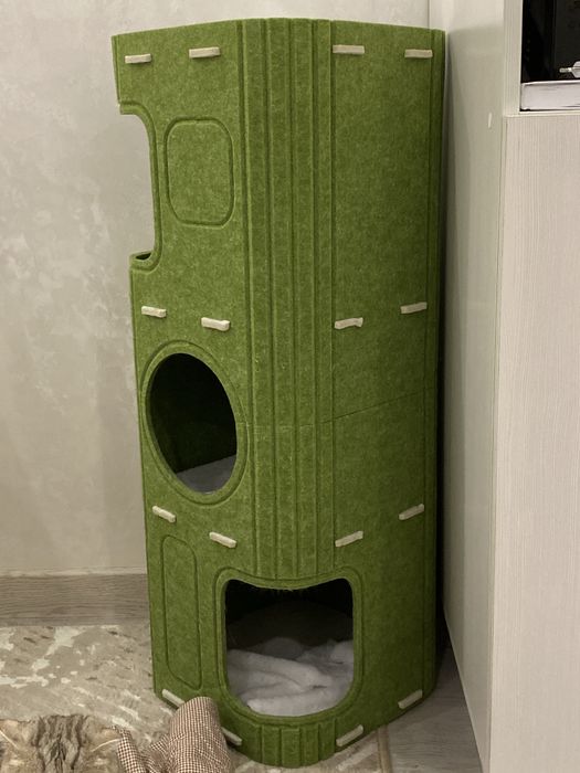 Трехлапый черный котик