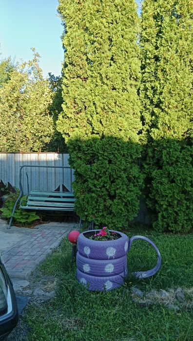 Продам дом в красный восток