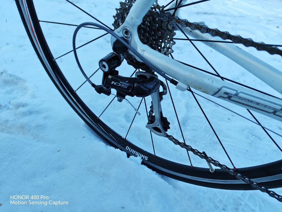 Vând cursiera focus