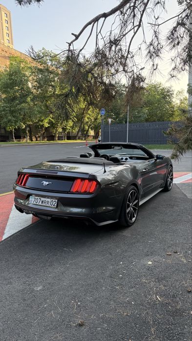 Аренда  прокат Ford Mustang
