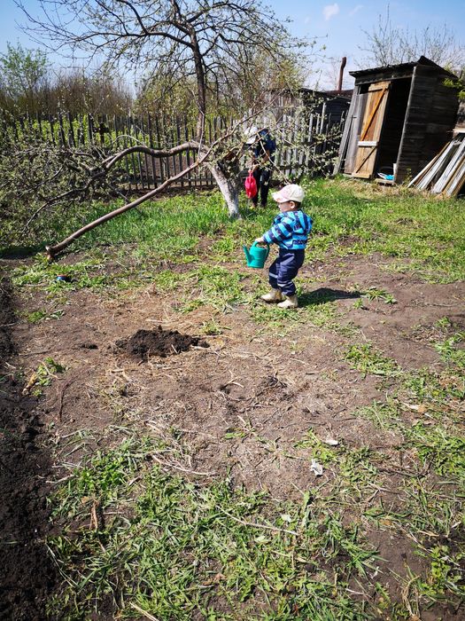 Продам дачу борки