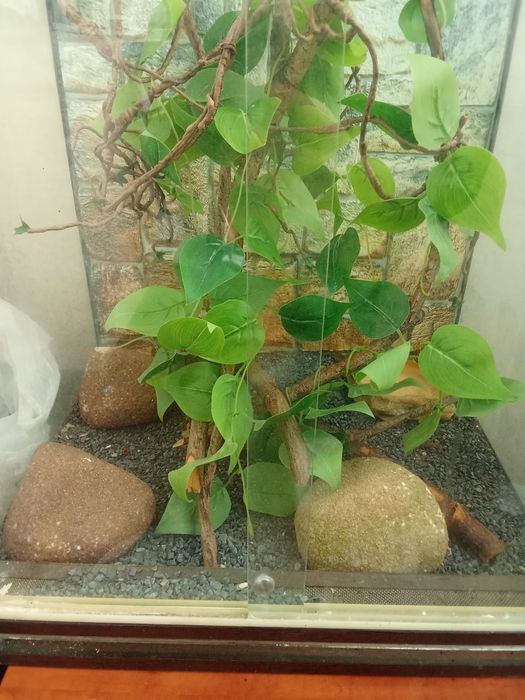 Продам терариум для рептилий