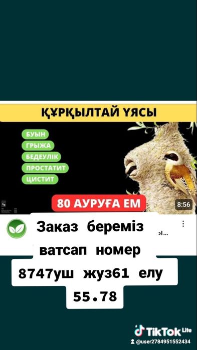 Куркултай уясы гнездо ремеза