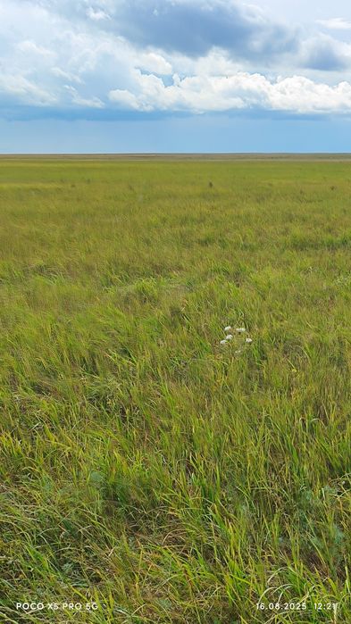 Продам зил 130 сельхозник