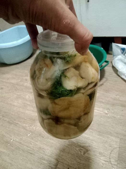 Грибы грузди маринованные