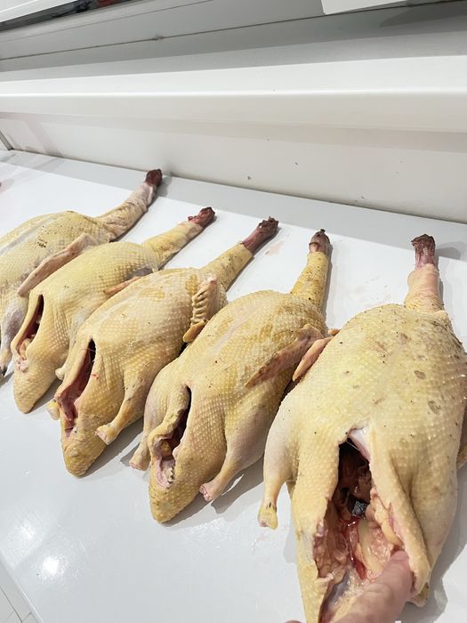 Индаутка тушка 3500 кг