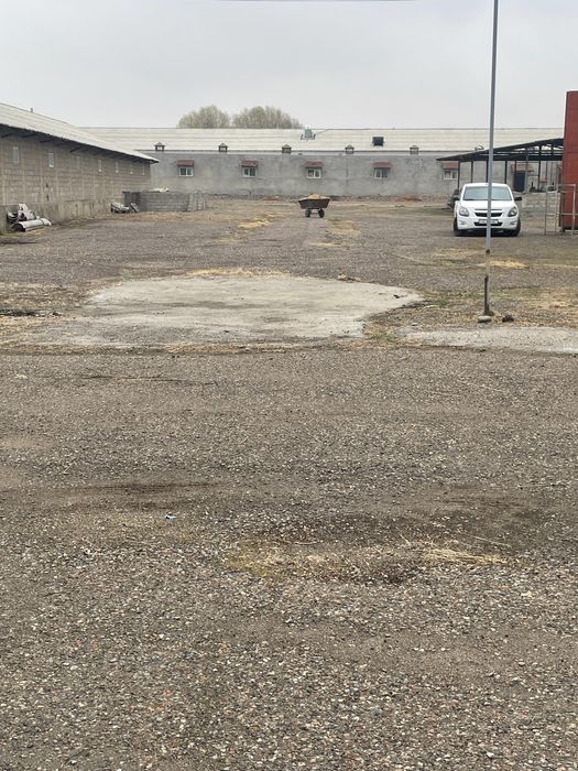 Продается в Урта-Чирчикском р-не п.Болта 1,6 га с помещениями