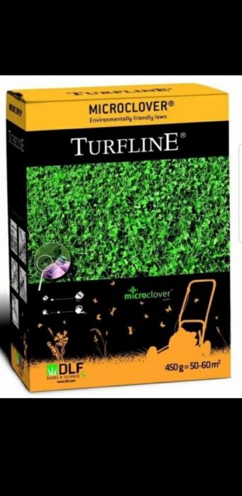 Белый клевер карликовый