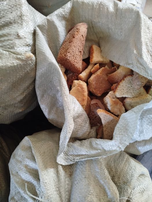 Корм для животных