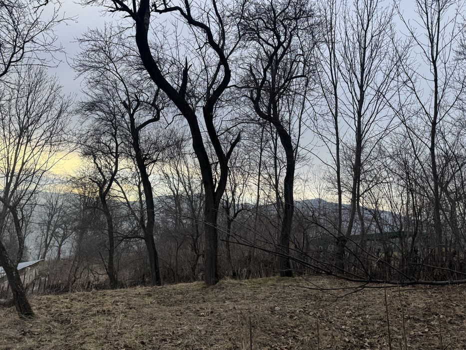 Teren de vanzare Comarnic