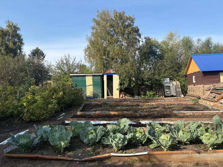 Срочно продам дачу