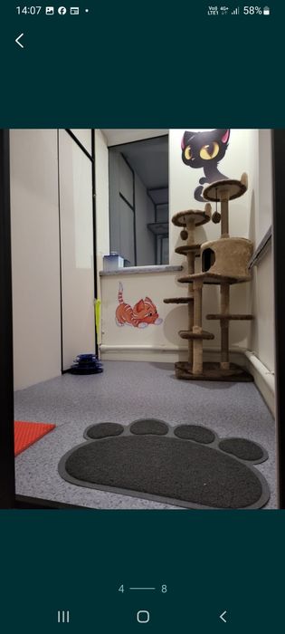 Гостиница для кошек.