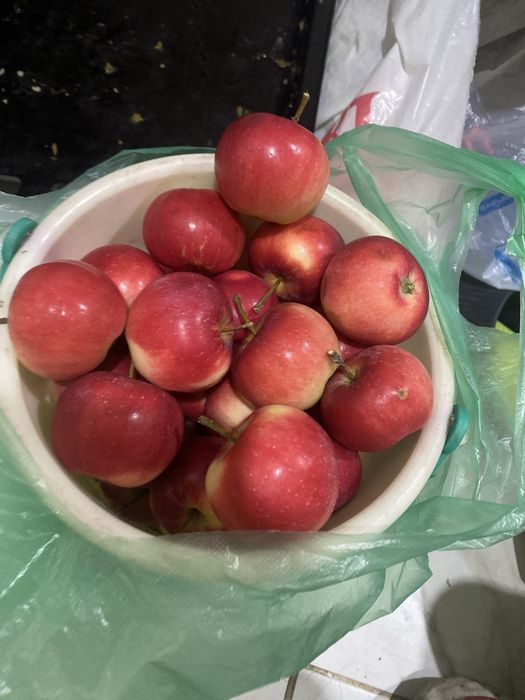 Продам яблоки "китайка"