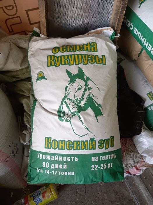 Семена кукурузы сатылады