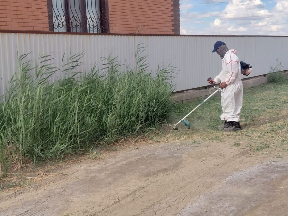 Шоп шабамын сапалы
