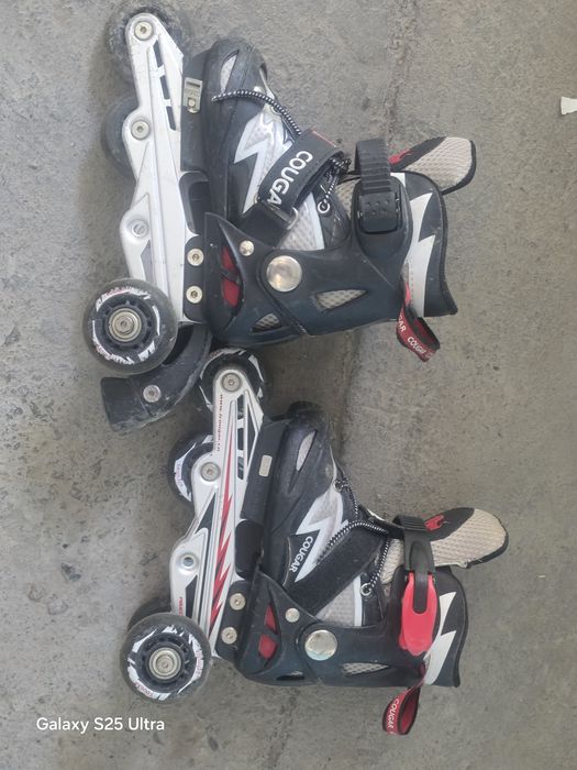 Роликовые каньки