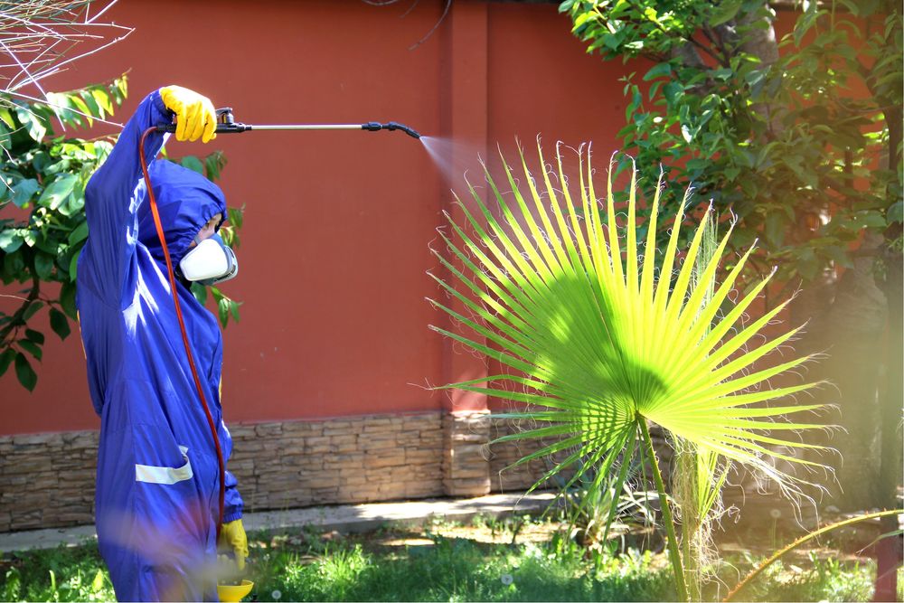 дезинфекция дизенфекция dezinfeksiya dizinfeksiya