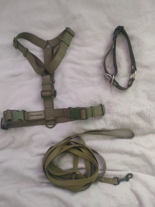 Продам комплект амуниции для собак