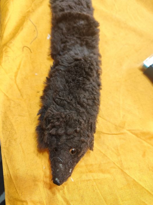 Кожи от норки нови