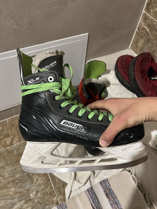 Конки бауер хлс