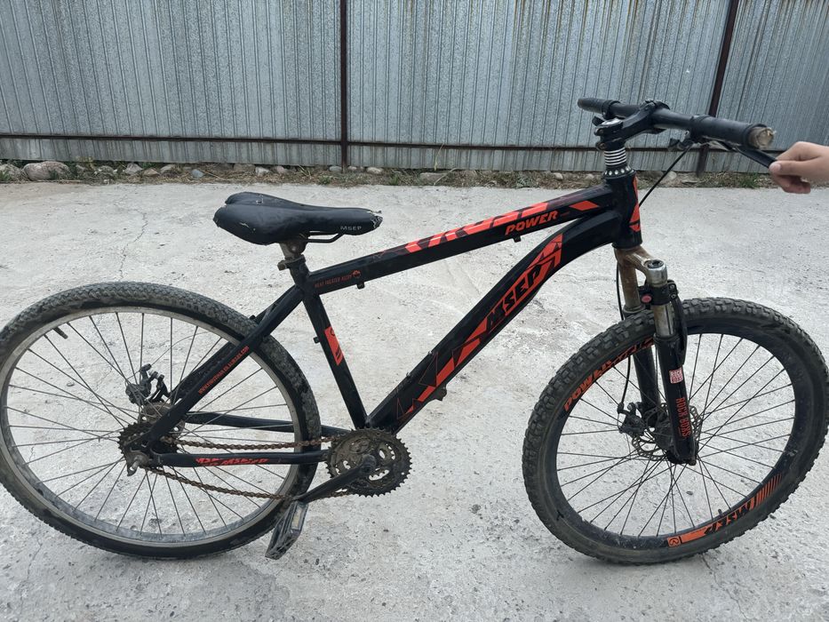 Велик бушный.